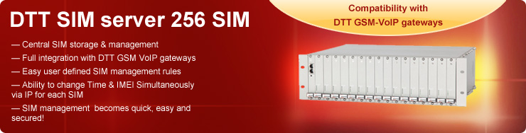 DTT Sim Server 256